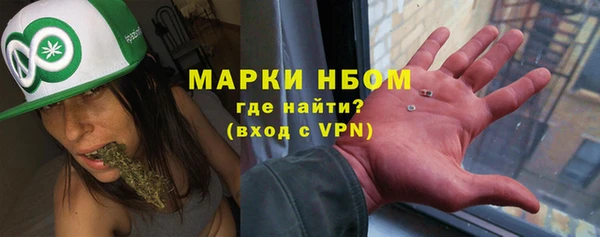 сатива Армянск