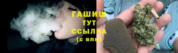 сатива Армянск