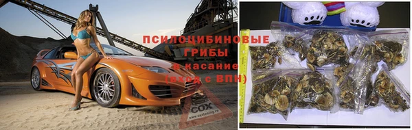 сатива Армянск