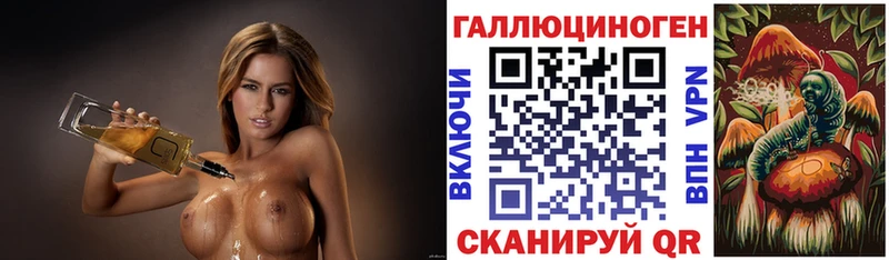 Купить где  Грайворон  Псилоцибиновые грибы Psilocybine cubensis 